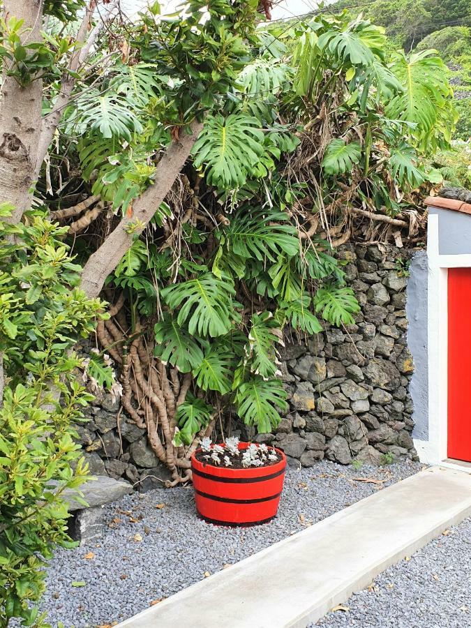 Casinha De Nesquim Villa Calheta de Nesquim Eksteriør billede