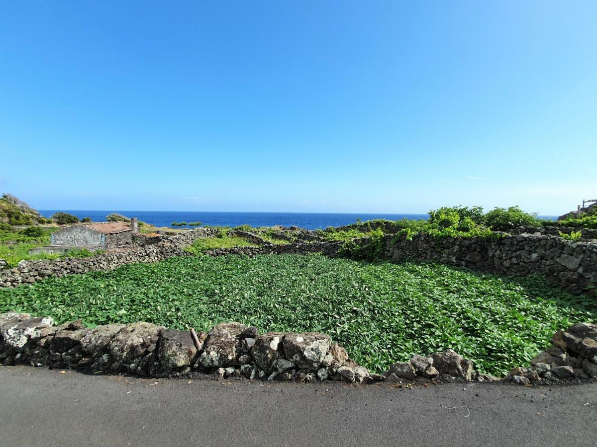 Casinha De Nesquim Villa Calheta de Nesquim Eksteriør billede